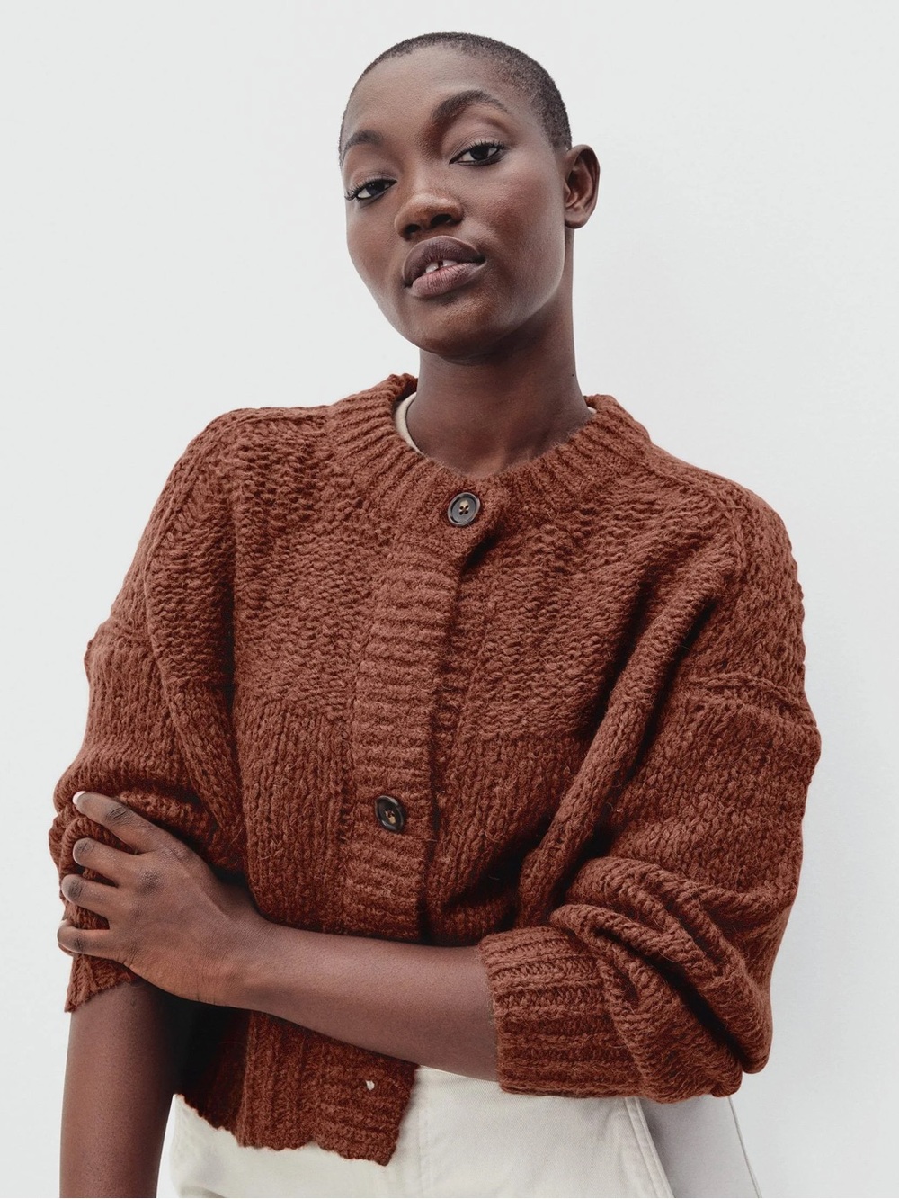 Everlane Lofty Knit wool alpaca blend brown chunky knit cardigan